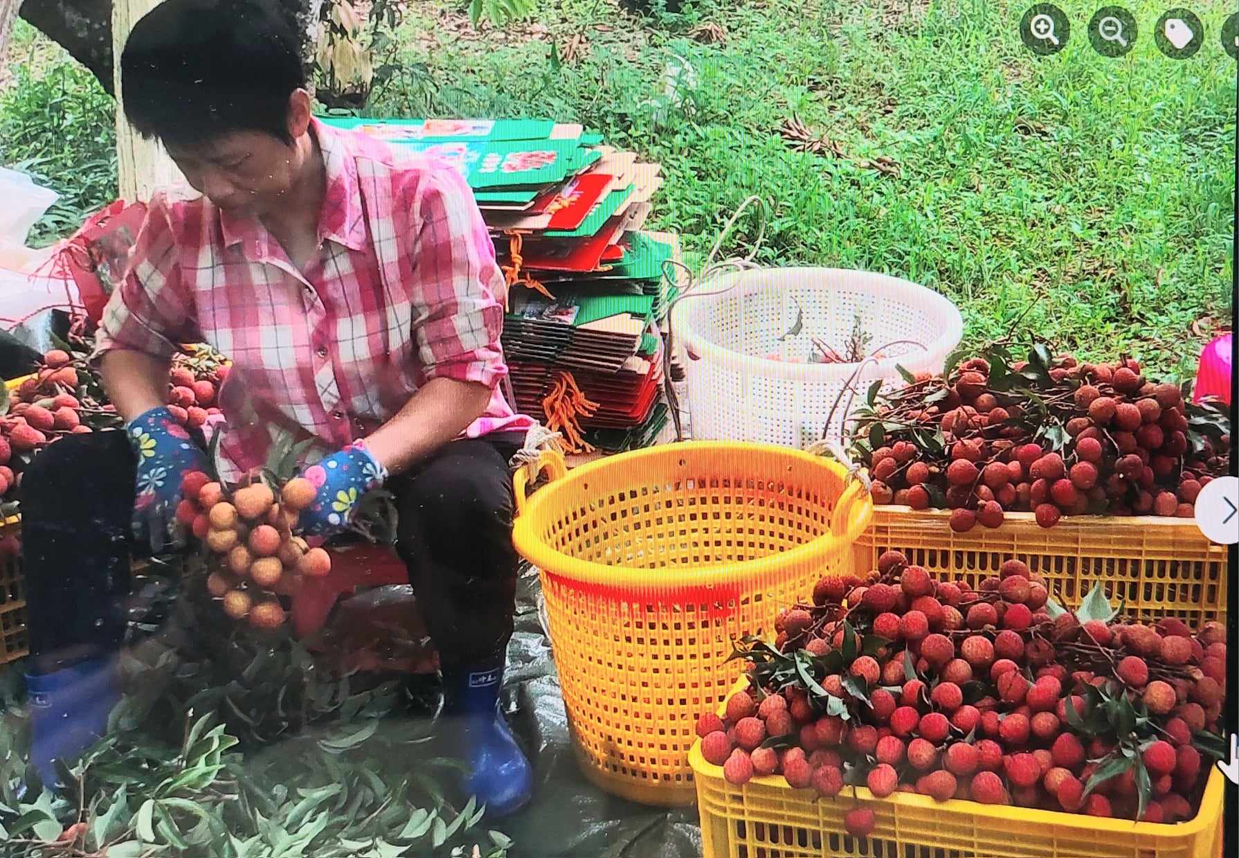 NHỮNG CÂU CHUYỆN MÊ ĐẮM, THÚ VỊ THÚC BẠN MUA HÀNG