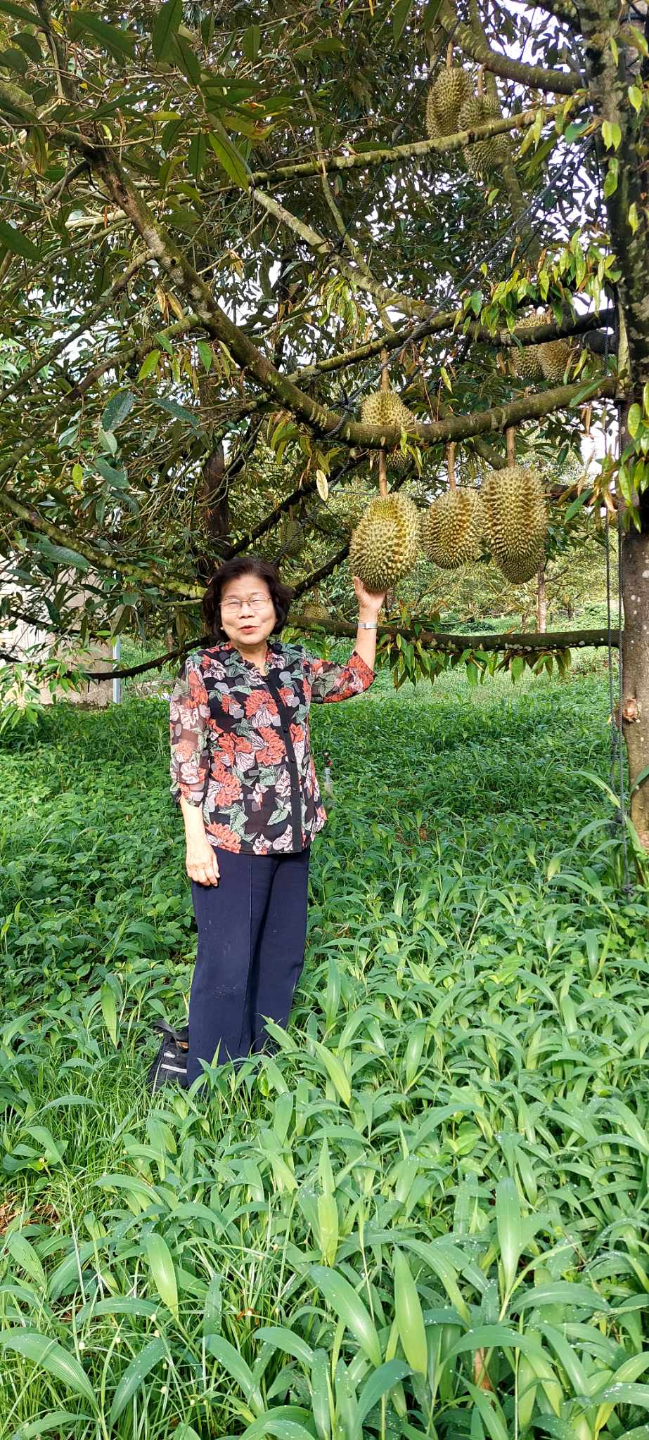 NGÀY 21/6, XIN KỂ CHUYỆN “TÔI (VẪN ĐANG) ĐI HỌC LÀM BÁO”.