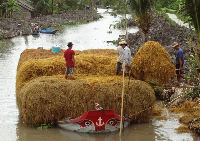 BẢN TIN TỔNG HỢP CUỐI TUẦN (9/9 - 15/9/2024)