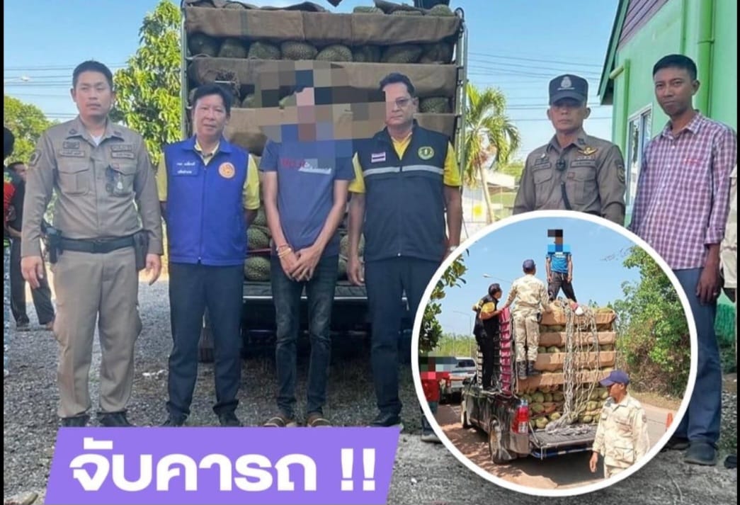 NGƯỜI THÁI CHUẨN BỊ CUỘC CẠNH TRANH XUẤT KHẨU SẦU RIÊNG SANG TRUNG QUỐC NHƯ THẾ NÀO?