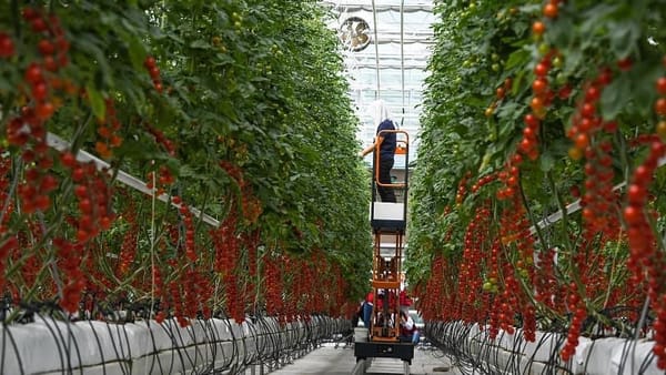 MÙA MEKONG CONNECT 2024. CHUYỆN LẠ: NGÂN HÀNG CHO TỪNG HỘ NÔNG DÂN VAY NHỜ CÔNG NGHỆ
